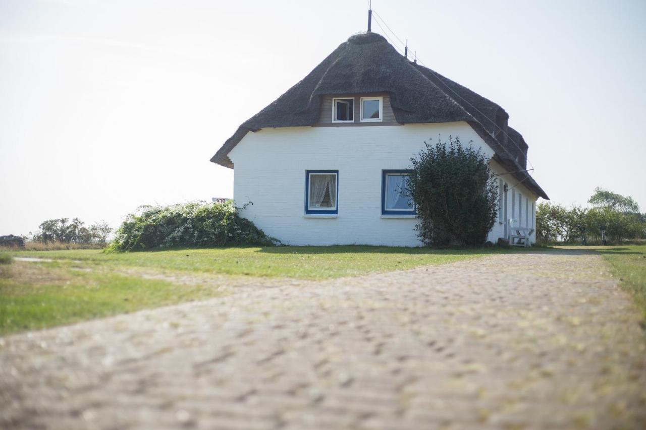 Haus Braeaetlun Ferienwohnung Braeaetlun 4 Norddorf Eksteriør bilde
